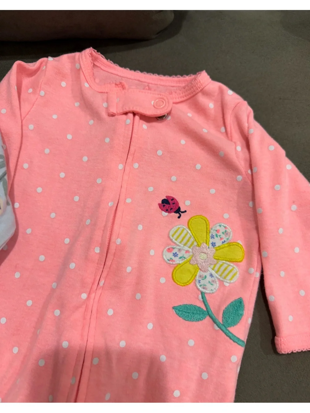 Carters soft coral